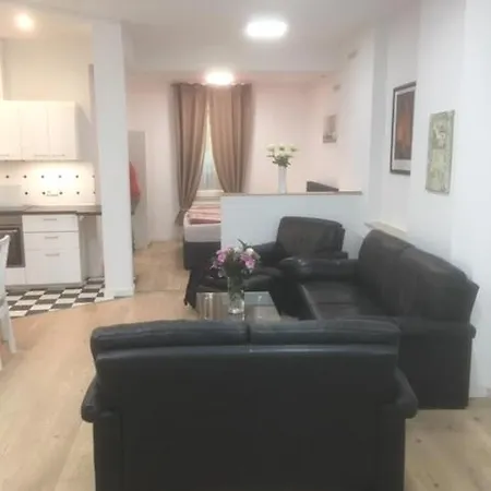 Jugendstilhaus Riverside City Fuer Urlaub Und Business Apartment