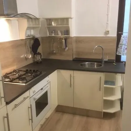 Jugendstilhaus Riverside City Fuer Urlaub Und Business Apartment